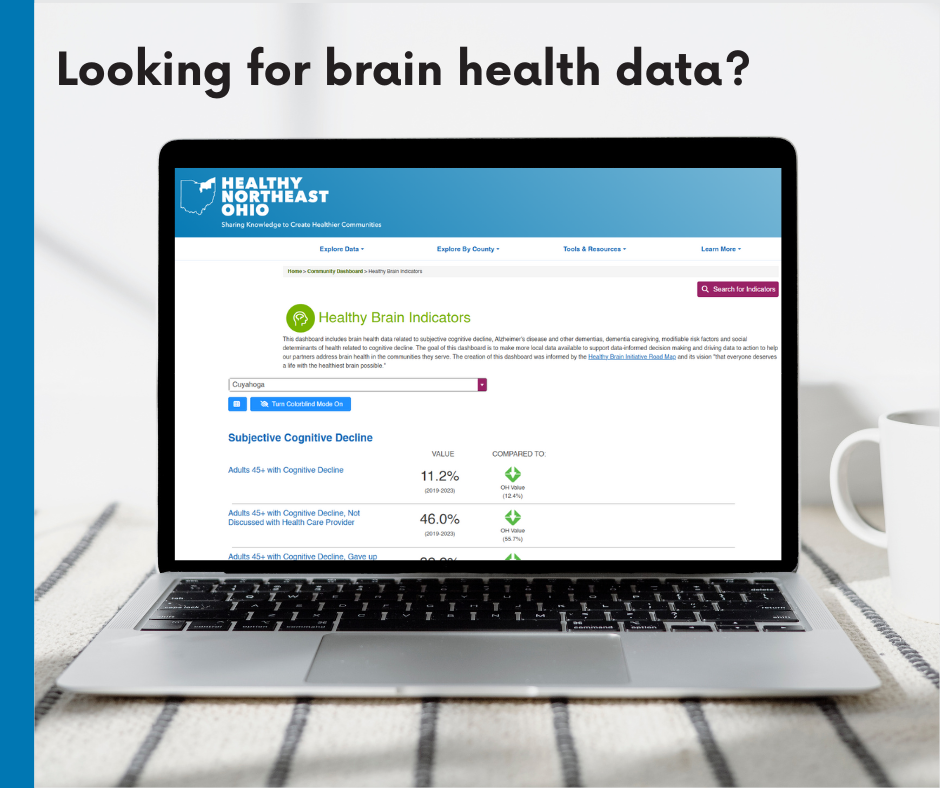 Healthy Brain Indicators Dashboard